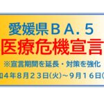 【添付資料】愛媛県BA.5医療危機宣言-ページ1